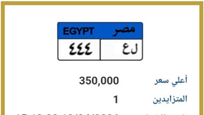 مزاد لوحة «ل ع 444» يقترب من النهاية بسعر 350 ألف جنيه