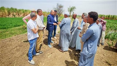 «الزراعة» تتابع تطوير الري في قنا.. دعم زراعة القصب وتوجيهات لخدمة المزارعين