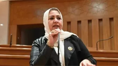 سحر صدقي: اتصال السيسي وبن زايد يؤكد موقف مصر الحاسم ودعمها الكامل للإمارات