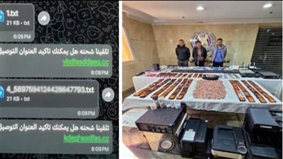 استولى على أموال المواطنين عبر“روابط مزيفة”.. عصابة تواجه هذه العقوبة بالقانون