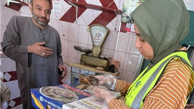 رقابة غذائية.. 1600 مخزن تحت المتابعة و679 منشأة خاضعة للفحص الميداني