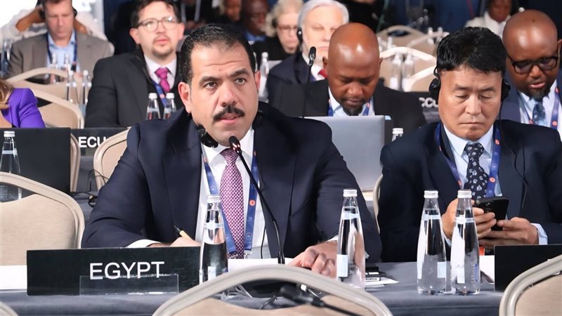  المستشار الدكتور أحمد عبد الغني