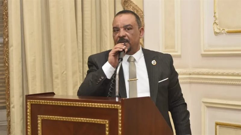  النائب أحمد حافظ، عضو مجلس الشيوخ عن حزب حماة الوطن