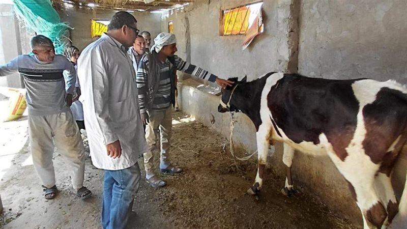  قافلة بيطرية بجنوب سيناء