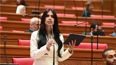 عضوة بالنواب تطالب بمراجعة نسب قبول أبناء المصريين بالخارج بالجامعات الحكومية