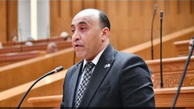 الخشت: جولات بـ14 محافظة لاستكمال الحوار المجتمعي لحزب العدل حول قانون الأحوال الشخصية