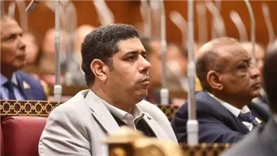 نائب بالشيوخ: موقف الرئيس السيسي خلال لقائه وزير خارجية الكويت يؤكد ثوابت السياسة المصرية