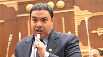 النائب إسماعيل الشرقاوي يفتح ملف أولويات دعم الرياضة