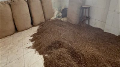 ضربة جديدة ضد الغش التجاري.. ضبط مصنع غير مرخص بداخله 15 طن معسل منتهي الصلاحية بالدقهلية