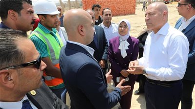 القاهرة تطلق أول شلتر متكامل للكلاب الضالة.. مشروع إنساني لحماية المواطنين