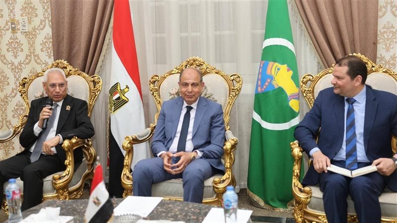 محافظ المنيا