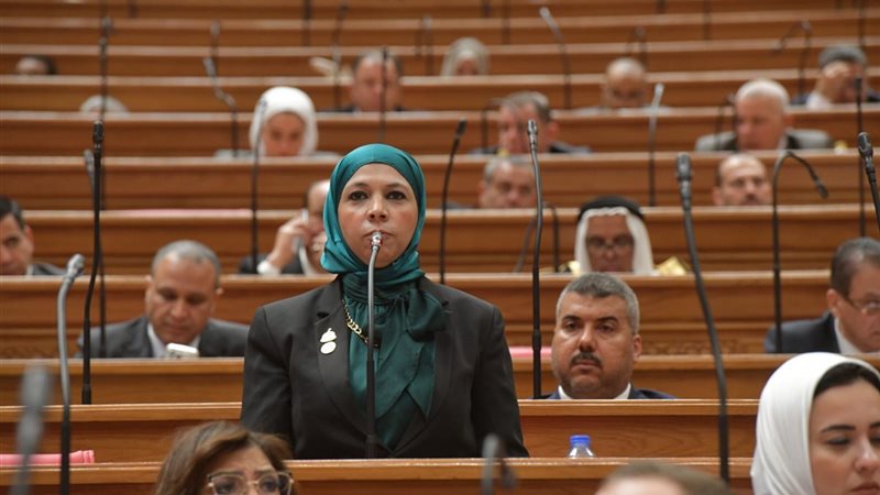 النائبة مريم العزب