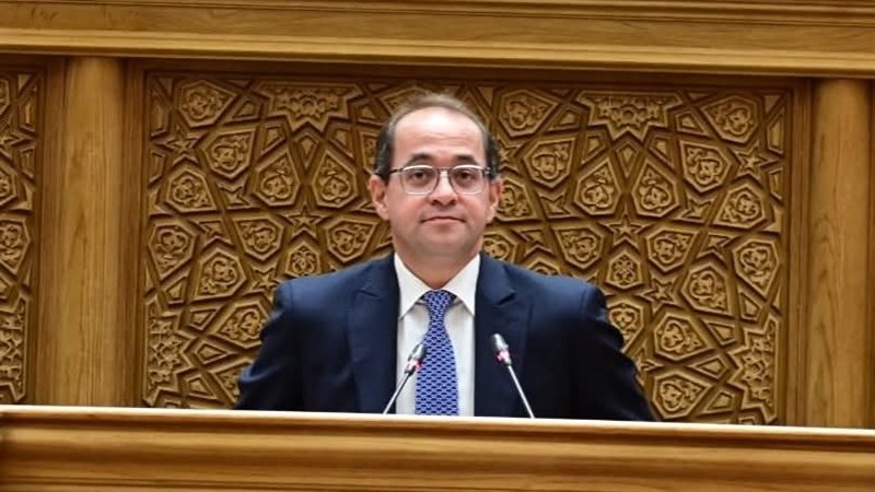 وزير المالية