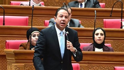 النائب حسن عمار يطالب بضوابط صارمة للتمويل الاستهلاكي وحماية المواطنين من التعثر