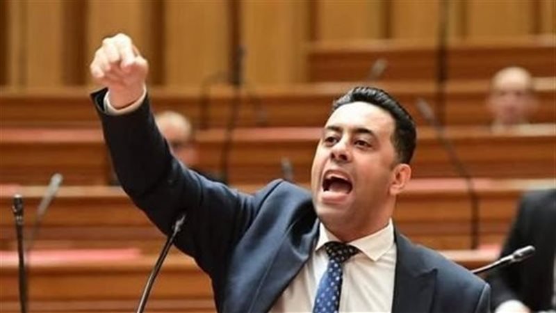 النائب أحمد فرغلي