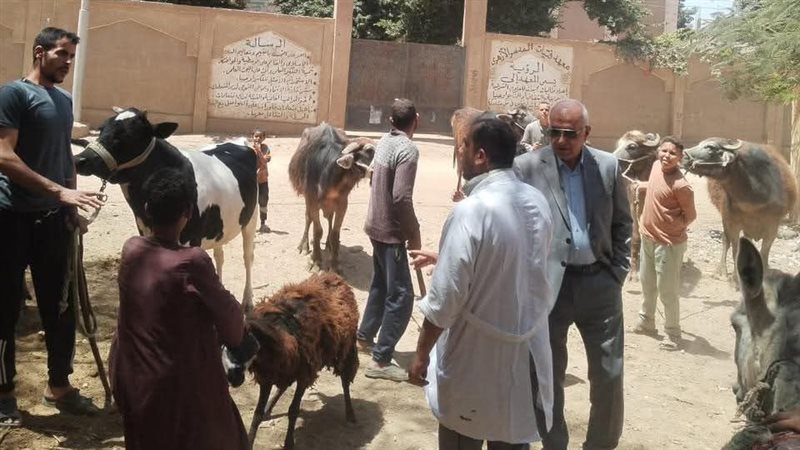 سوهاج 