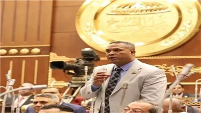 نائب بالشيوخ: ذكرى تحرير سيناء رمز للفخر الوطني وتجسيد لقوة الدولة