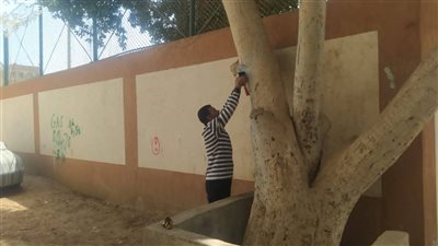 استمرار تركيب الأكواد التعريفية لأشجار مبادرة 100 مليون شجرة بأسيوط