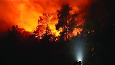 إجلاء نحو 3000 شخص مع استمرار حرائق الغابات باليابان لليوم الرابع على التوالي