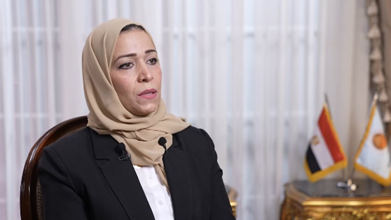النائبة نجوى الألفي