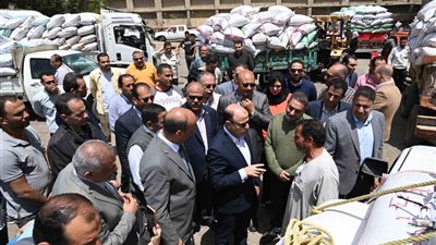 محافظ الغربية يتفقد صوامع طنطا لمتابعة توريد القمح وتعزيز منظومة التخزين