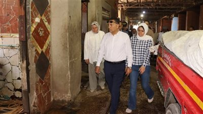 محافظ القليوبية يوجه باستكمال تطوير سوق المنيل ويتفقد شارع الخمسين وامتداد 135
