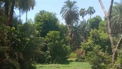 أسوان تواصل التنمية بمشروع «قرية فارس الخضراء» كنموذج للتحول البيئي والاستدامة