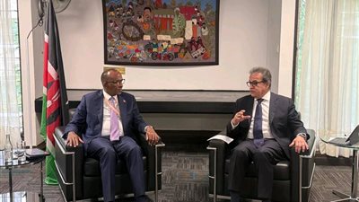 شراكة صحية.. نقل التجربة المصرية لكينيا وتعاون استراتيجي في الدواء وزراعة النخاع