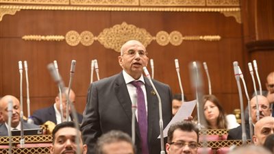 عضو بالشيوخ يرفض قانون التأمينات والمعاشات: الزيادات يلتهمها التضخم قبل ان تصل إلى مستحقيها