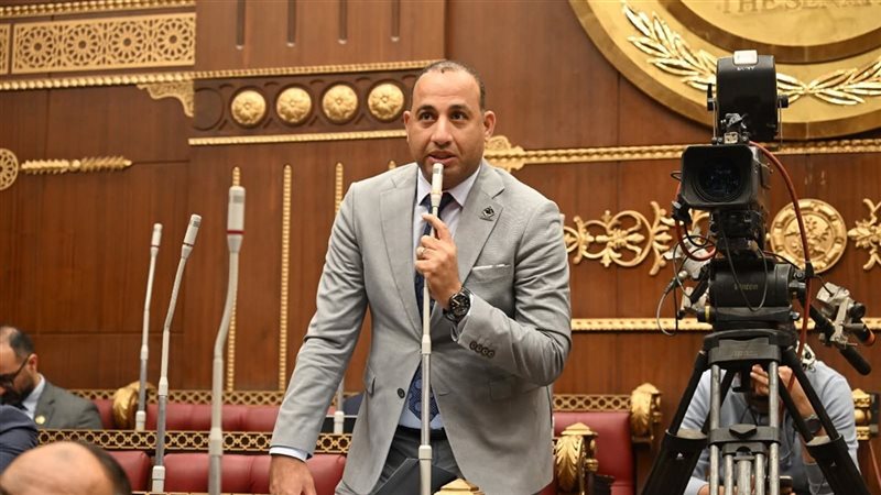 النائب عماد بركات