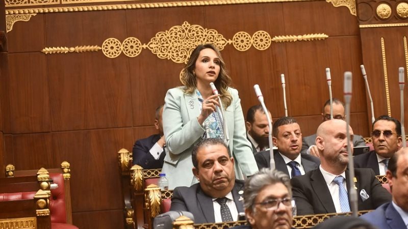 النائبة سارة بخيت