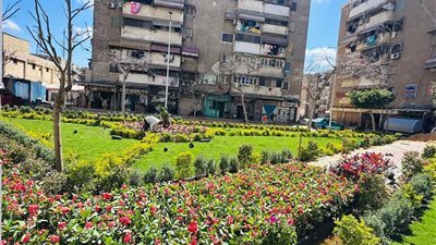 إنشاء مسطح أخضر جديد لأول مرة بمنطقة العبور بضواحي بورسعيد|صور 
