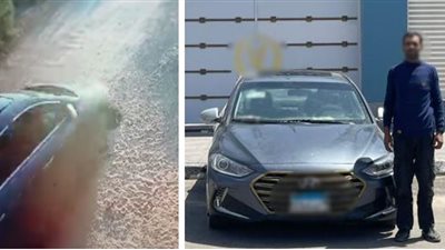 بدون قصد .. كشف ملابسات فيديو صادم بالإسماعيلية حول دهس كلاب ضالة