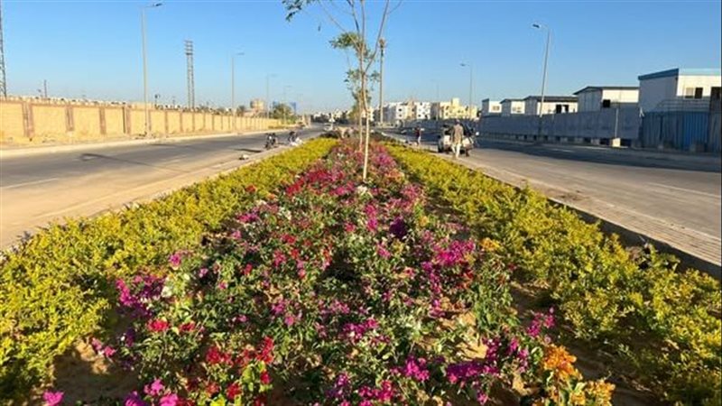 جانب من التطوير 