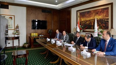 مصر والسعودية تبحثان عبر الفيديو كونفرانس تعزيز حماية الملكية الفكرية ومكافحة قرصنة المحتوى الرقمي