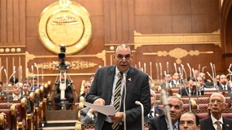 النائب رجائي عزت عضو مجلس الشيوخ