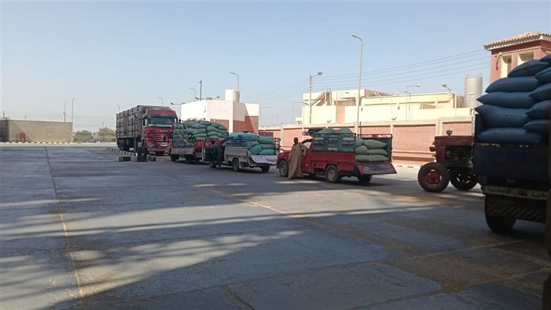 اسيوط