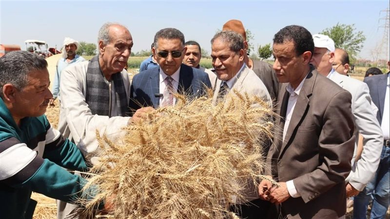محافظ القليوبية