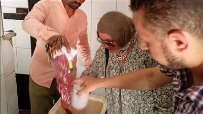 حملات رقابية مكثفة بالمنيا..إعدام ربع طن أغذية فاسدة وغلق منشأة مخالفة بمغاغة