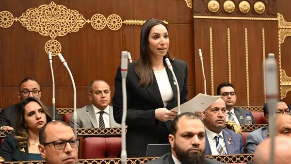 النائبة حنان وجدي
