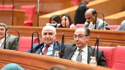 وكيل لجنة الشئون الإفريقية بالنواب يطالب الحكومة بإعادة النظر في مكافأة أطباء الامتياز