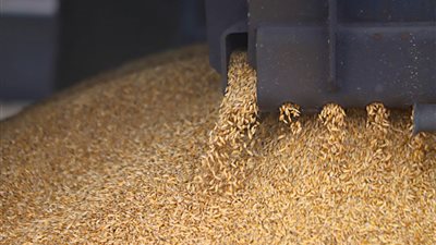 تراجع شحنات الحبوب إلى إيران 40% منذ مارس بفعل الحصار الأمريكي