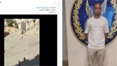 الأمن يكشف لغز فيديو مؤلم لتعدي وحشي على كلب بالتجمع الخامس