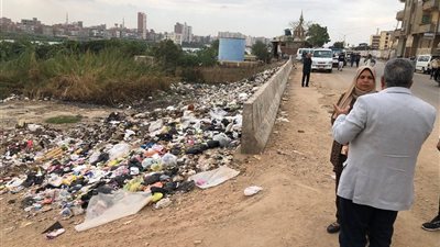محافظ الدقهلية يوجه بشن حملة فورية بقرى طلخا