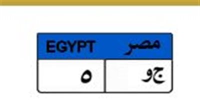 لوحة «ج و 5» تسجل 450 ألف جنيه في مزاد لوحتك دوت كوم