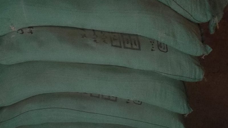 اسيوط