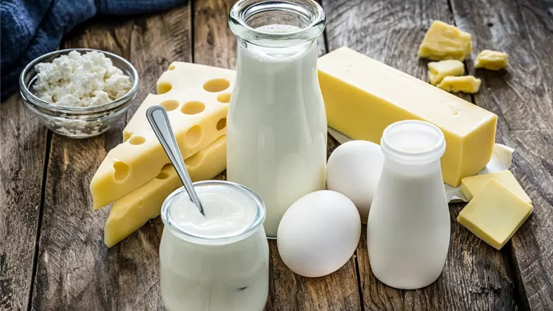 الأطعمة المخمرة