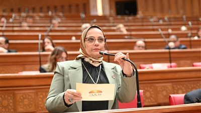 تحرك لتنفيذ فائدة 3%..توصية برلمانية بإنقاذ 430 حالة من أزمة التمويل العقاري