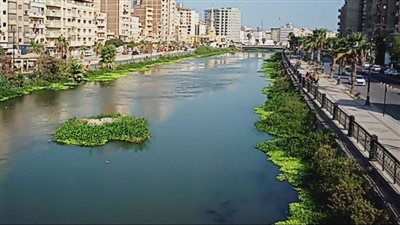 البحيرة تتطور بخطى سريعة: سيولة مرورية بدمنهور ومشروع قومي يحول رشيد لوجهة عالمية