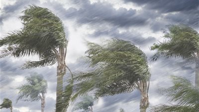 انخفاض الحرارة وأمطار.. ما المتوقع بشأن حالة الطقس اليوم الثلاثاء؟ 